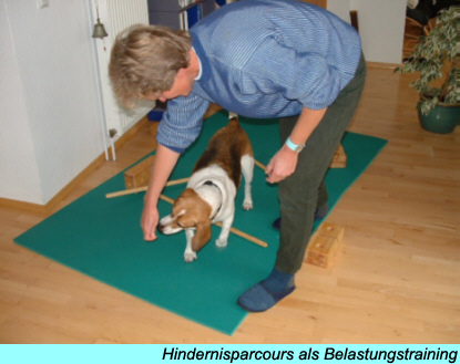 Hindernisparcour als Belastungstraining