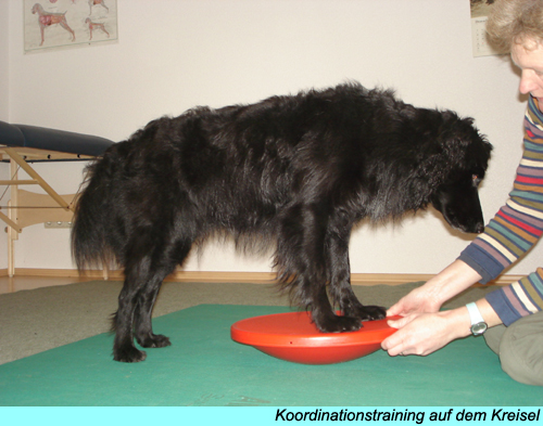 Koordinationstraining auf dem Kreisel