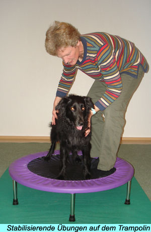 Stabilisierende Übungen auf dem Trampolin